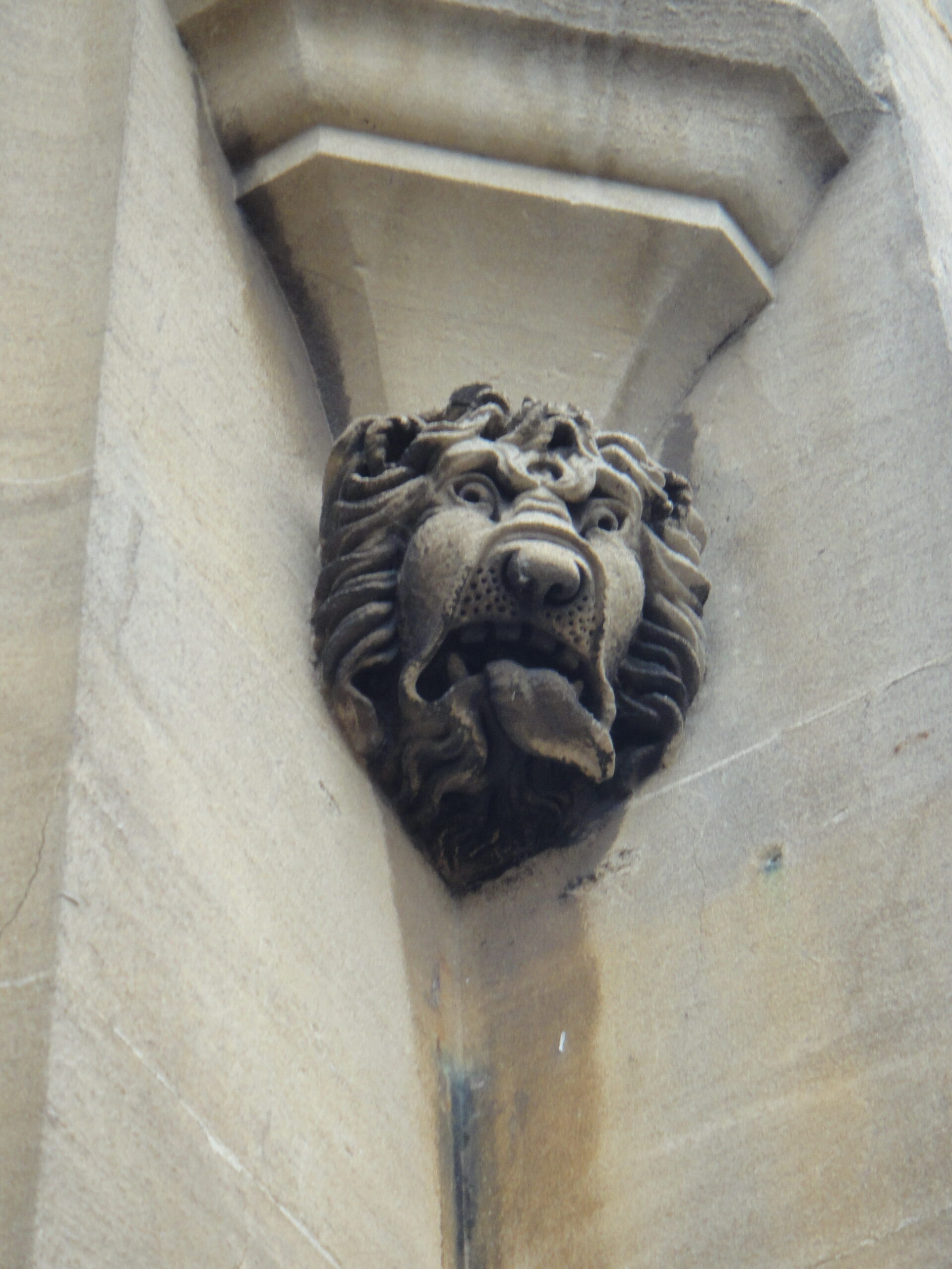 DSC01114.jpg