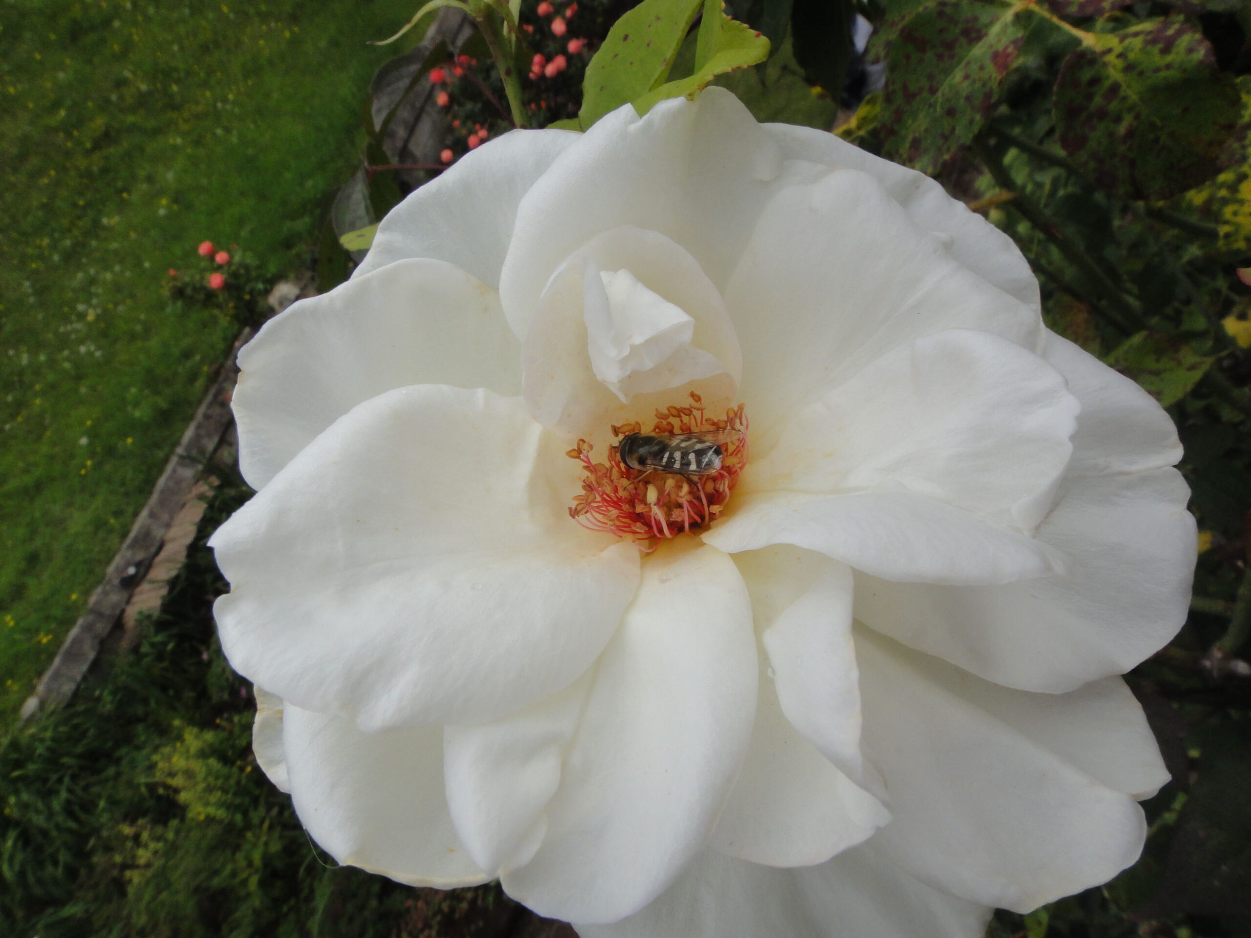 DSC01124.JPG