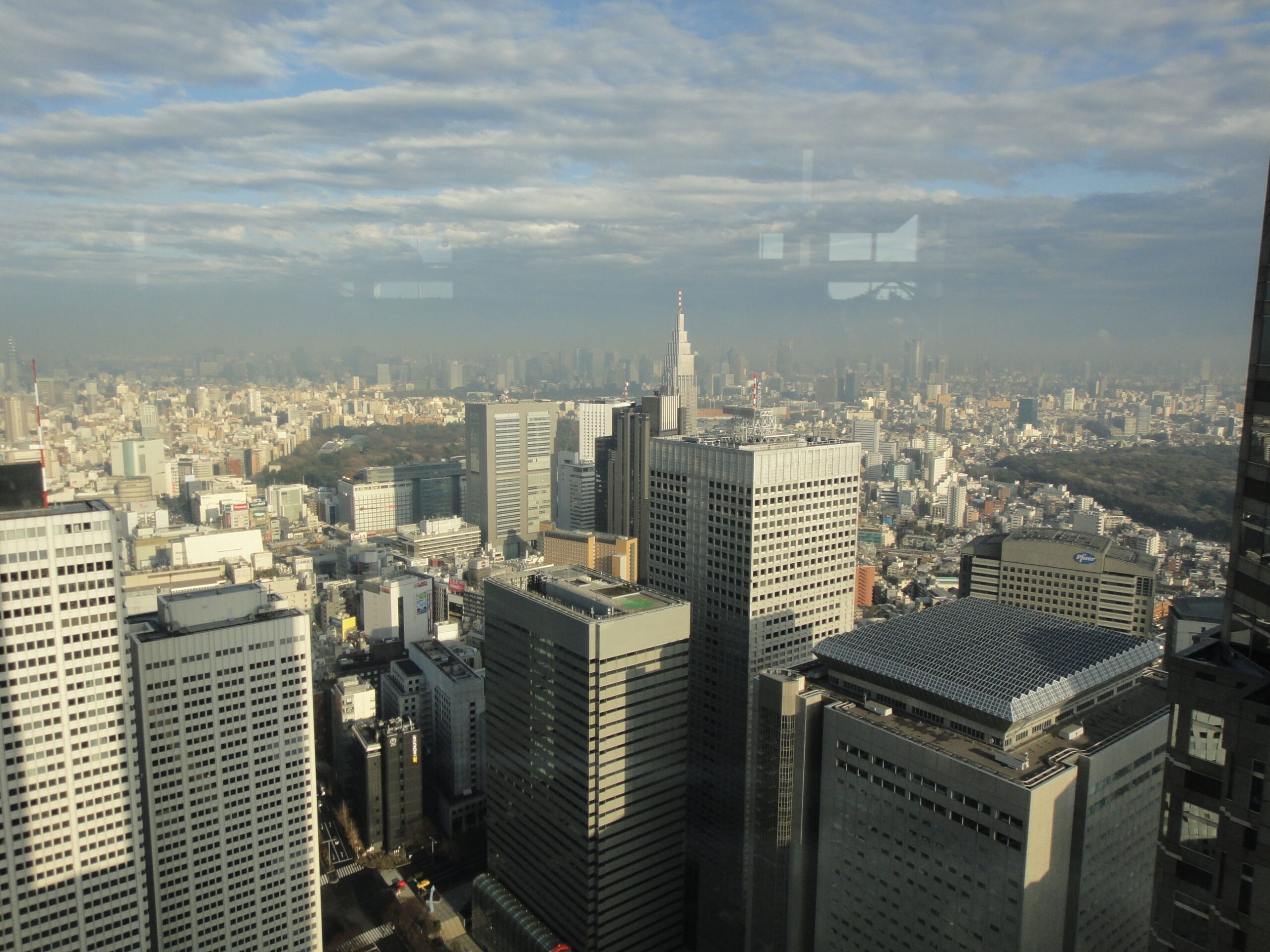DSC05696