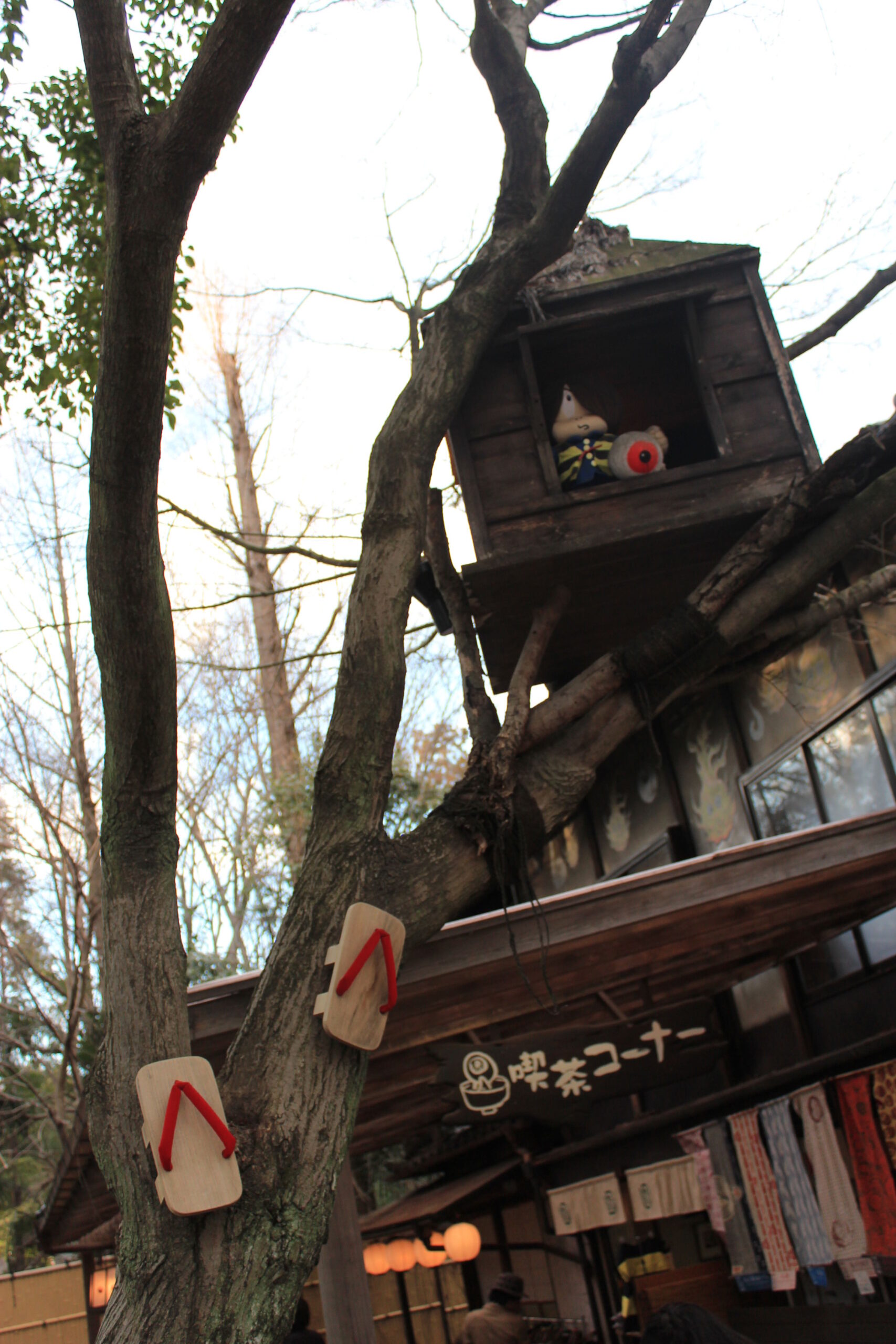 IMG_2678 IMG_2678