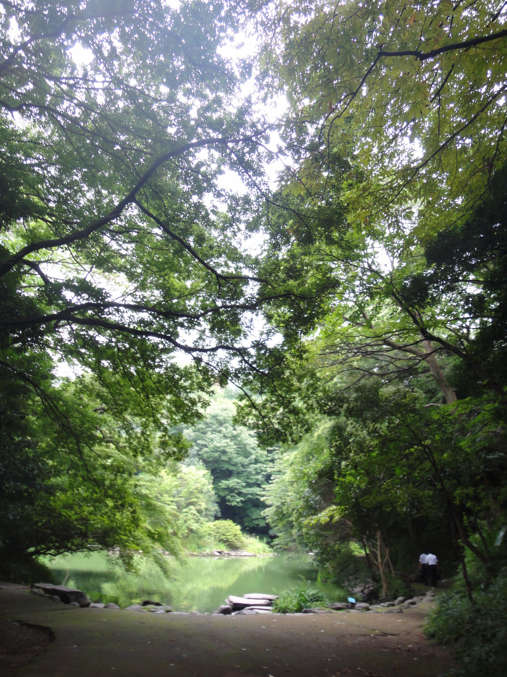 DSC03773