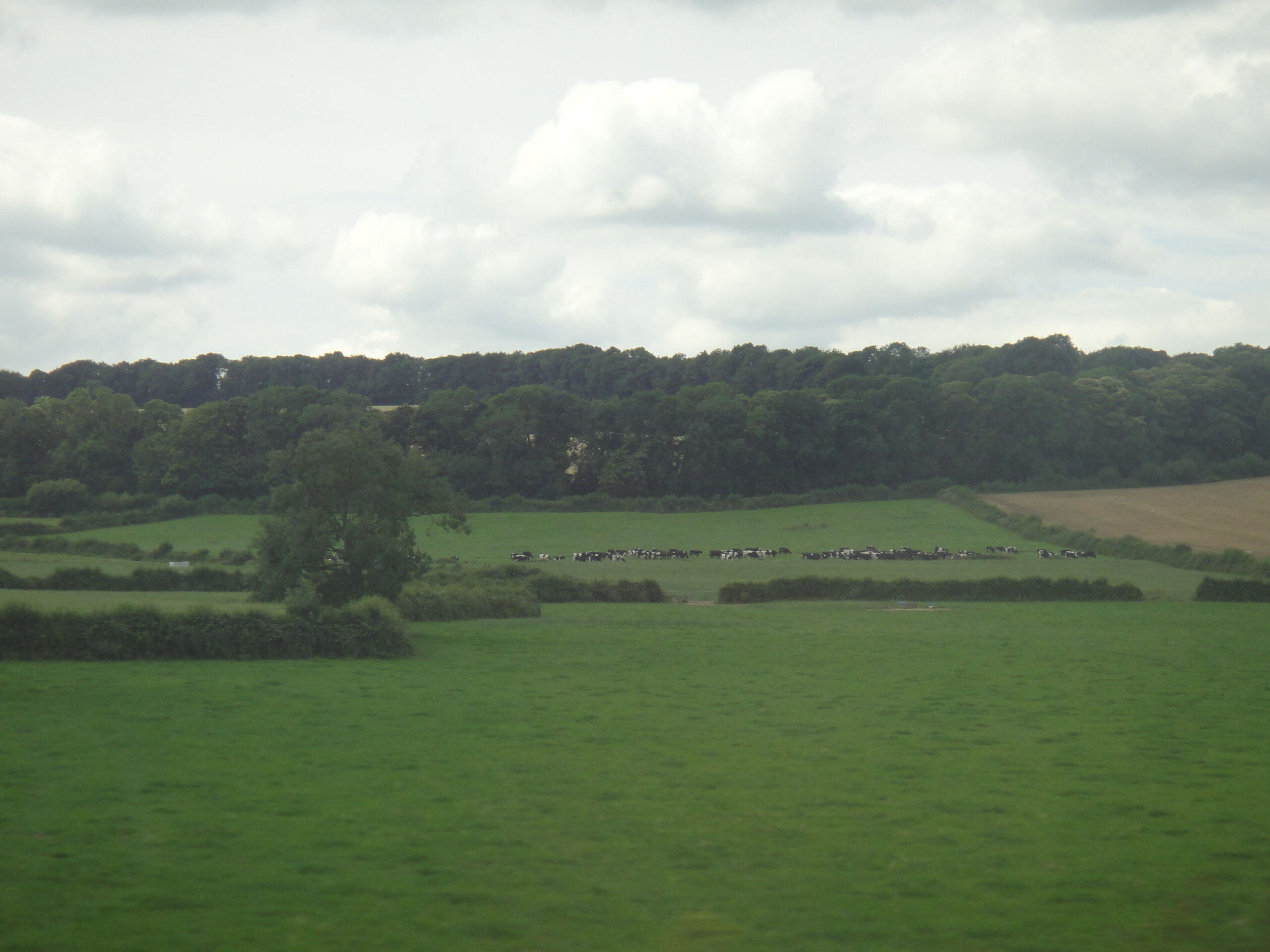 DSC07226