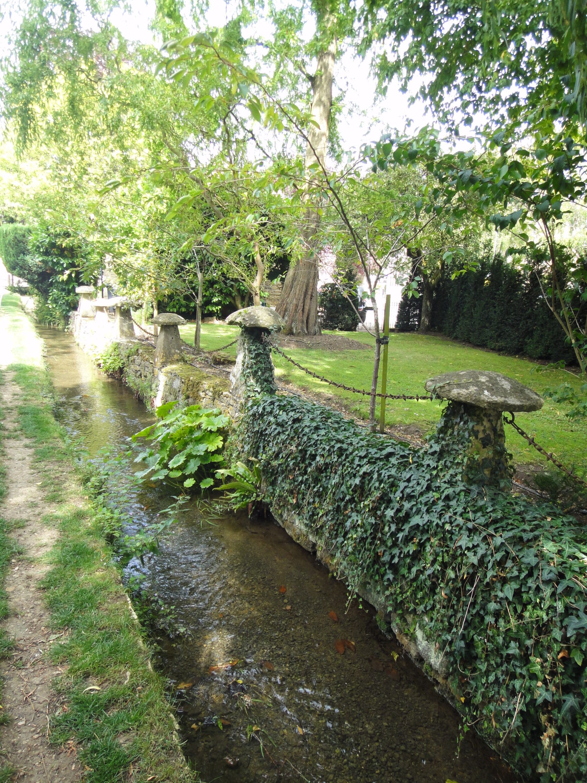 DSC02348